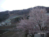 s_pict0087_thumb.png